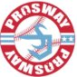 ProSway Gloves